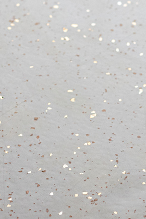 beton ciré kleur staal