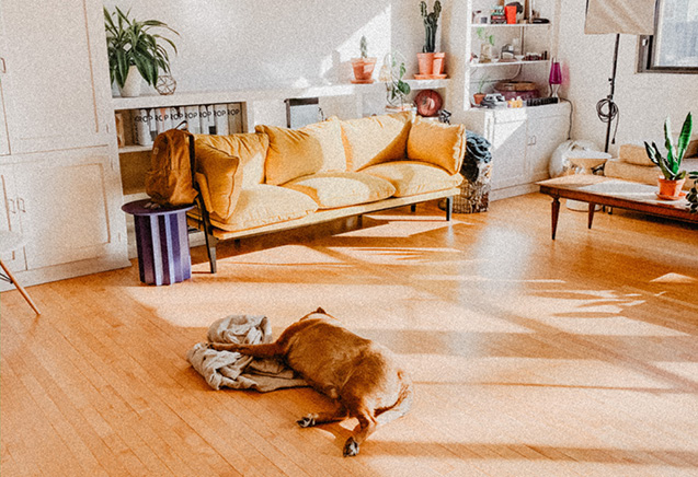 pvc vloer vs laminaat