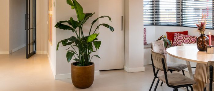 Onderhoud van Beton Ciré